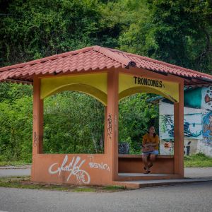   Troncones