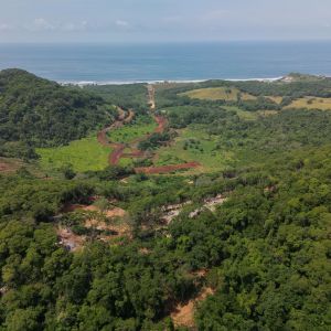   Troncones