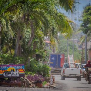   Troncones